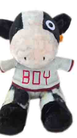 File:Boyplush1.jpg
